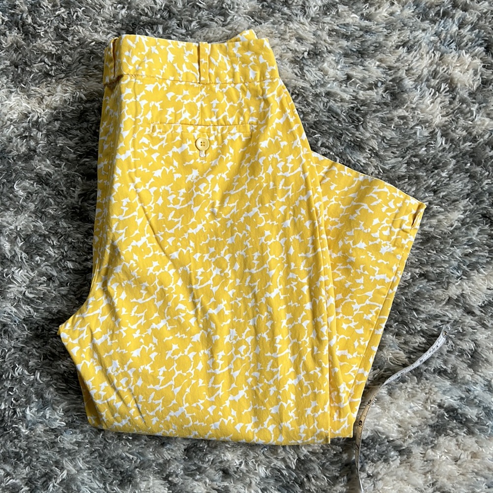 Talbots Capri pants - Picture 6 of 6
